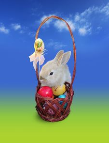 Easter Bunny  With Eggs Basket, Sky Royalty Free Stock Photography