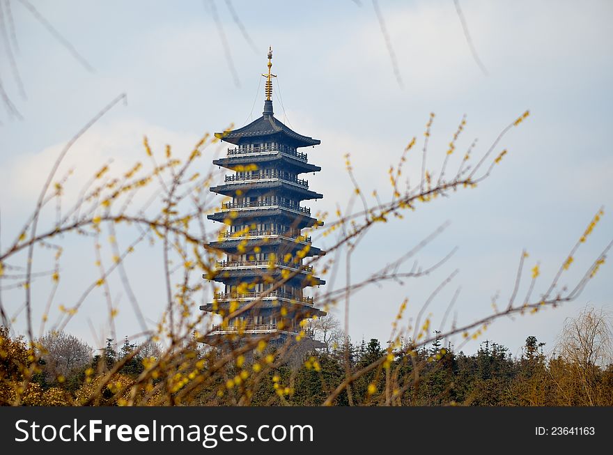 Bloom and pagodas，Taken in Jiangsu, China, a Forest Park，