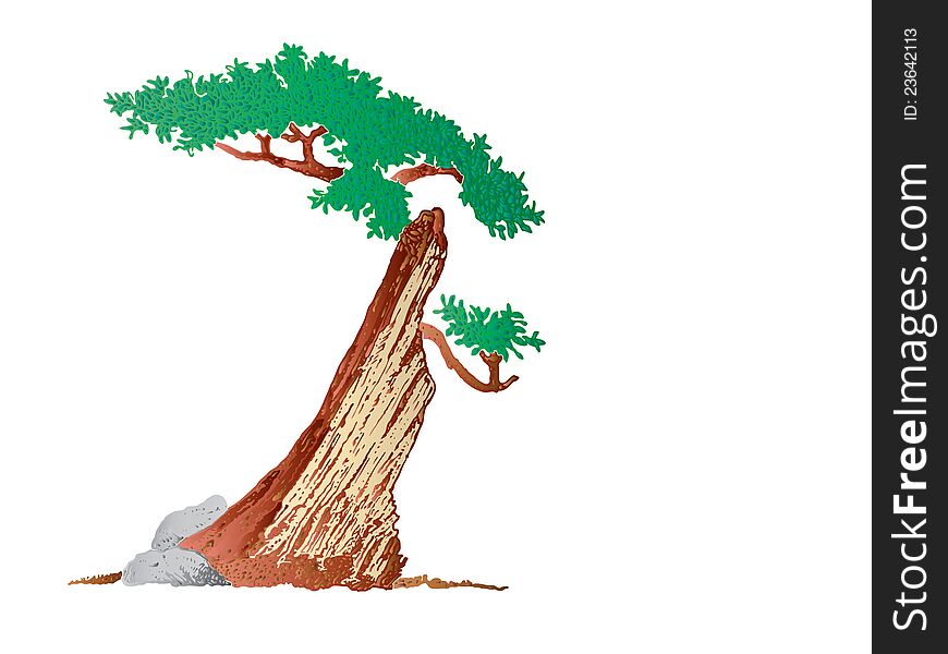 An illustration of half-dead tree. An illustration of half-dead tree