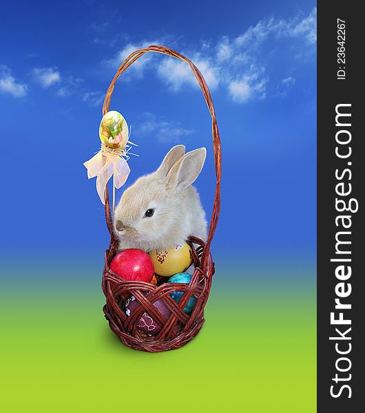 Easter Bunny  With Eggs Basket, Sky