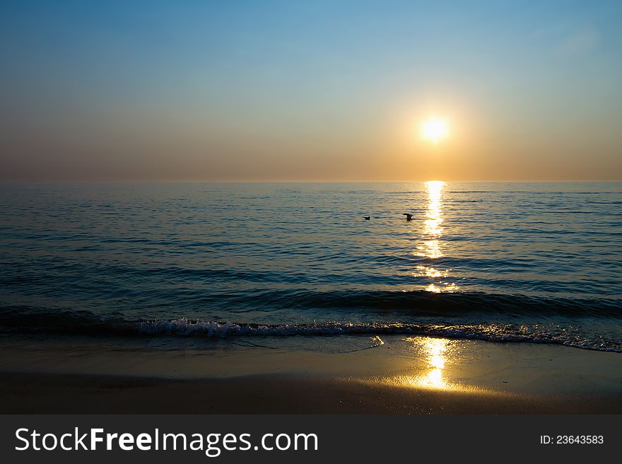 Dawn on the beach. Cargo ships on the horizon. Dawn on the beach. Cargo ships on the horizon