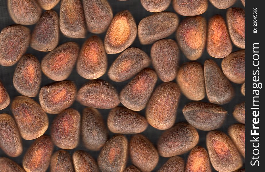 Nuts Of Siberian Cedar Pine