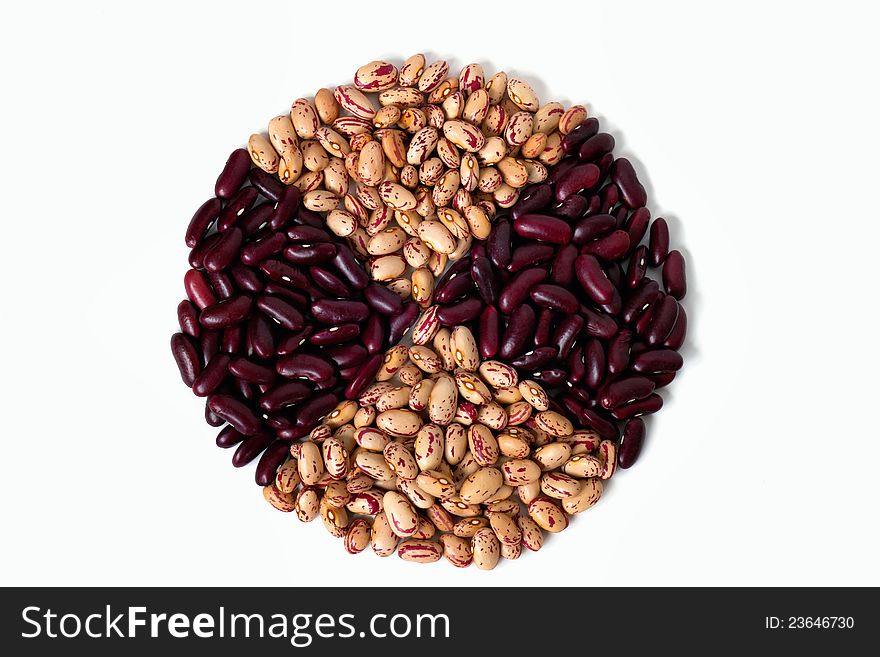 Circular shape of common beans