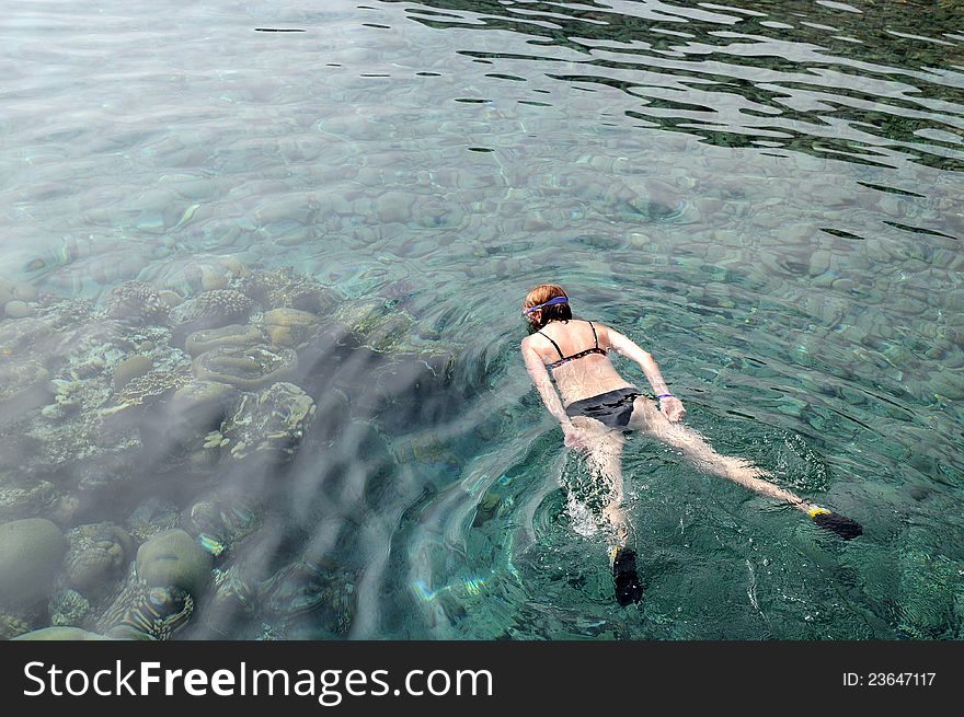Caucasian woman is snorkeling in the Red Sea