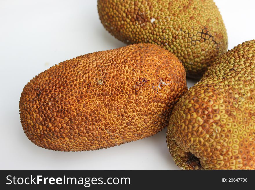 Cempedak fruits, the fruit is is native to southeast Asia, occurring from Indonesia and the Malay Peninsula.