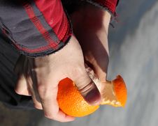Peeling An Orange Stock Photo Peeling An Orange Stock Photo
