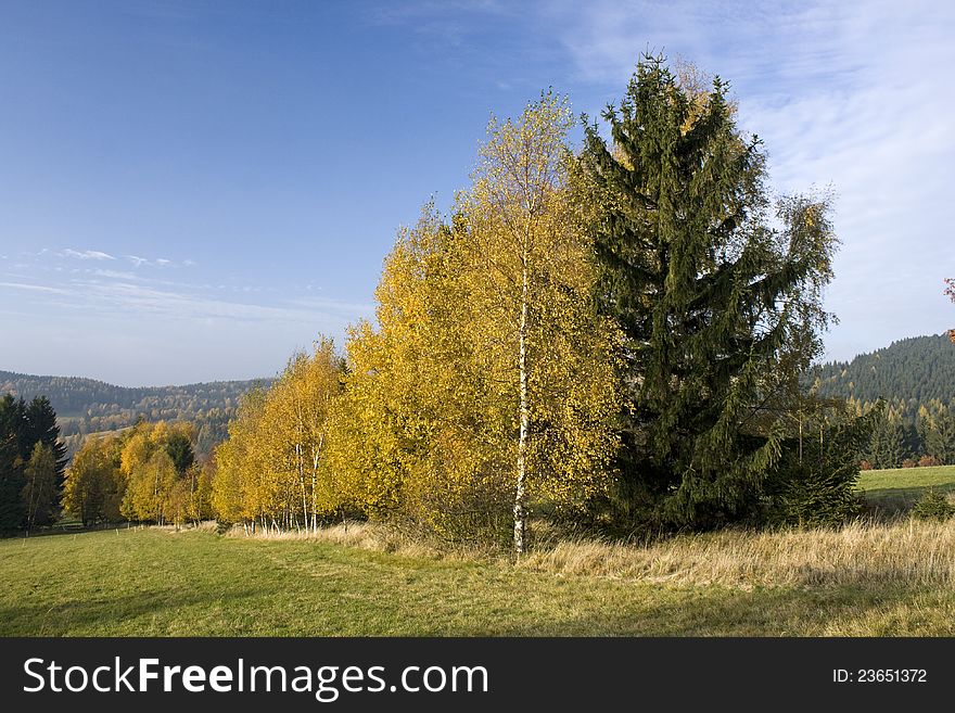 Eagle autumn beauty of the mountains, with yellow birch leaves, autumn landscape with blue sky, sunny fall day, hiking in the Czech countryside. Eagle autumn beauty of the mountains, with yellow birch leaves, autumn landscape with blue sky, sunny fall day, hiking in the Czech countryside