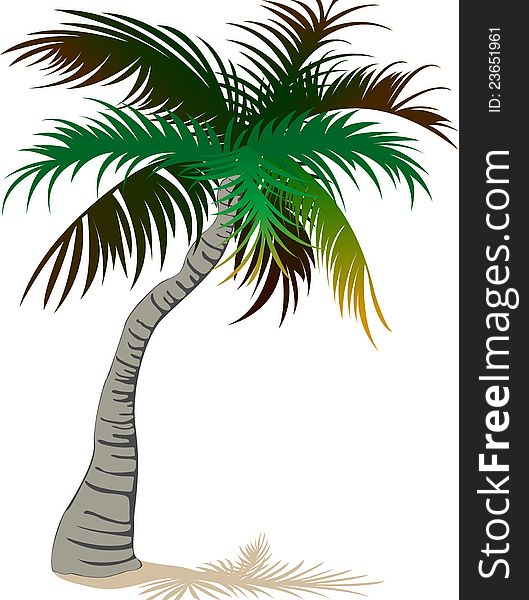 Palm tree clip art images