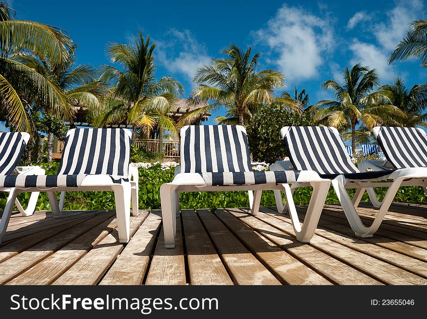 Tropical beach with palm trees