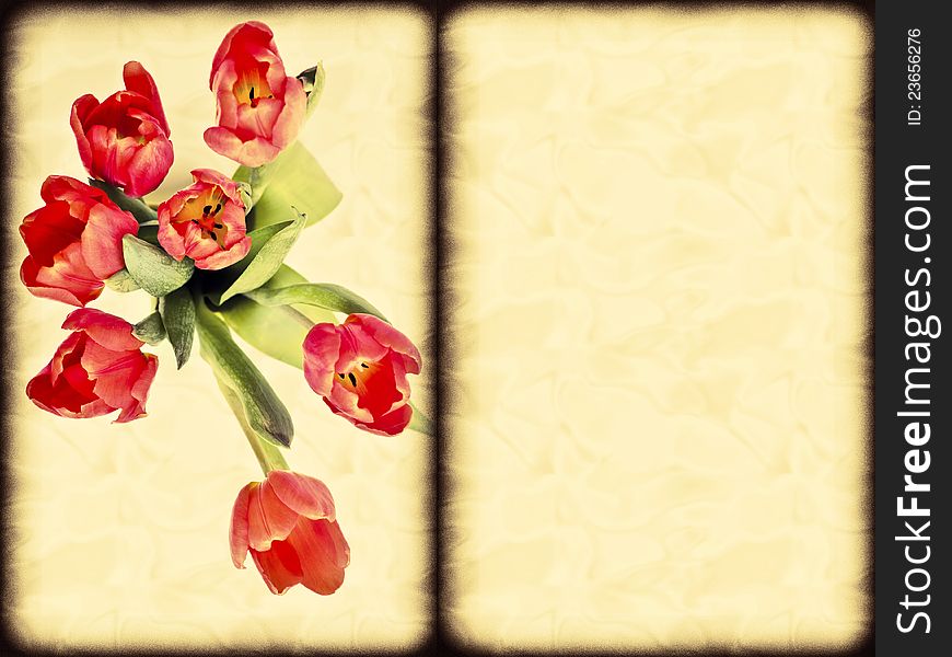 A bunch of tulips on old book background in retro vintage style with copy space