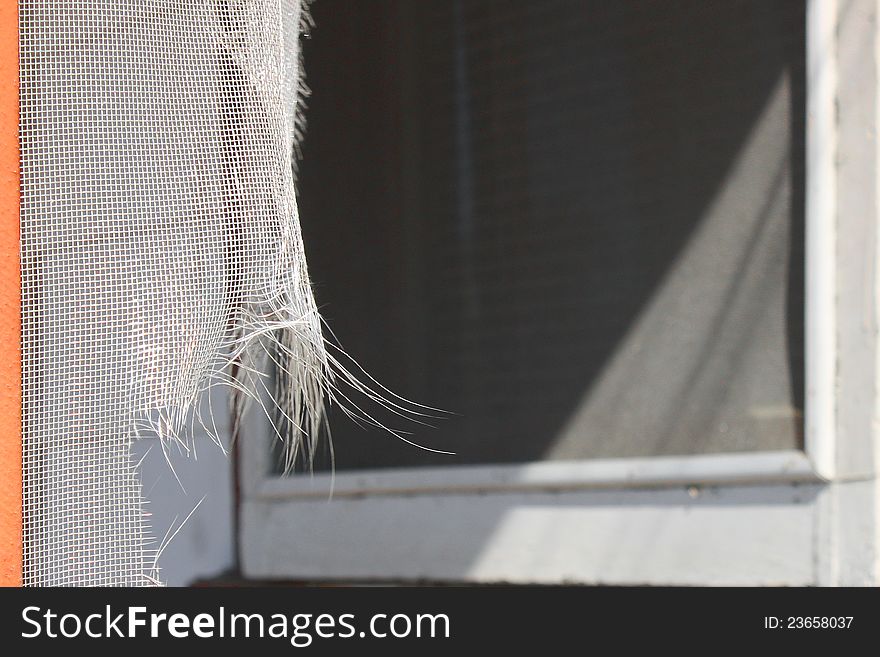 The fringes of a torn white screen are seen in the foreground with a window behind. The fringes of a torn white screen are seen in the foreground with a window behind.