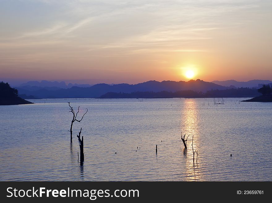 Landscape in deep forest at sunset time as background