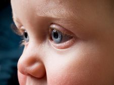 Baby Blue Eyes In Profile Stock Image