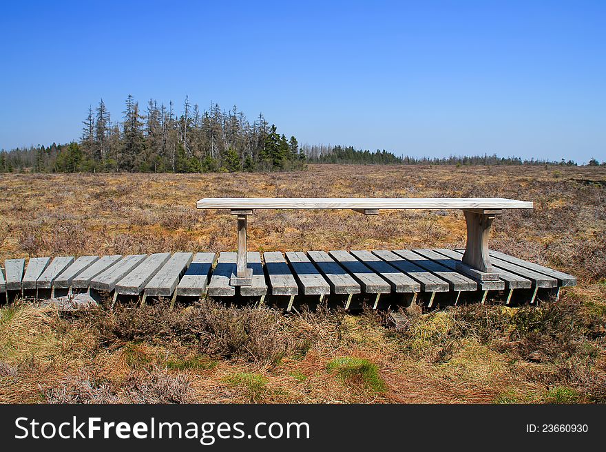 Bench in the park on the bog. Bench in the park on the bog