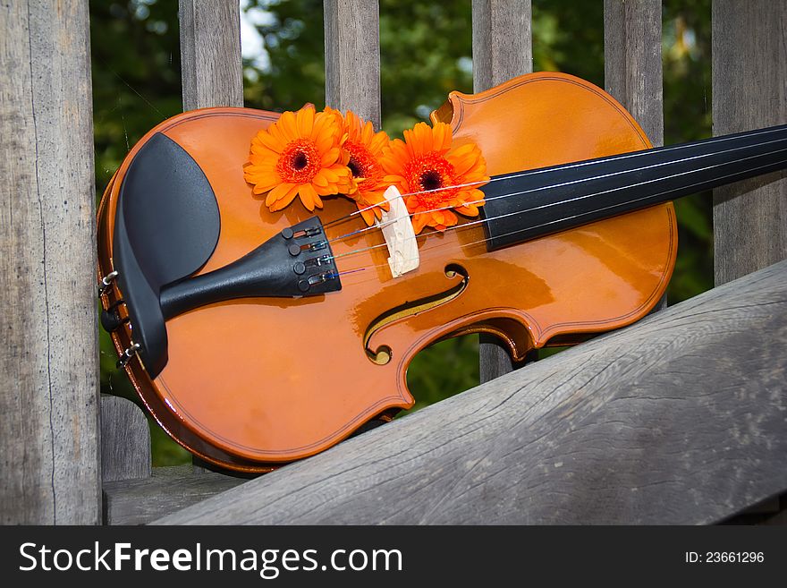 Violin and flowers on the fence