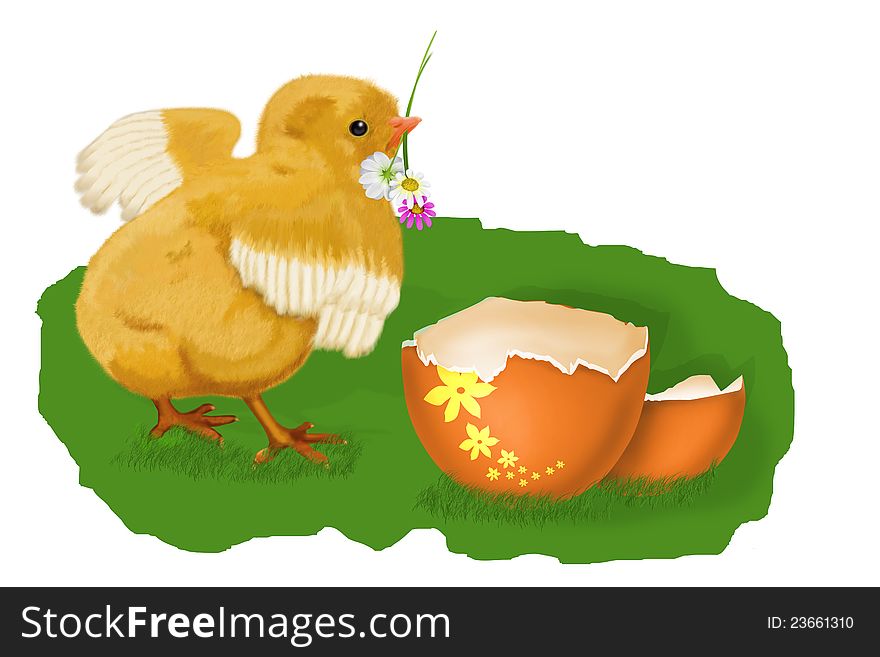 Image of chick-on-white theme of Easter. Image of chick-on-white theme of Easter