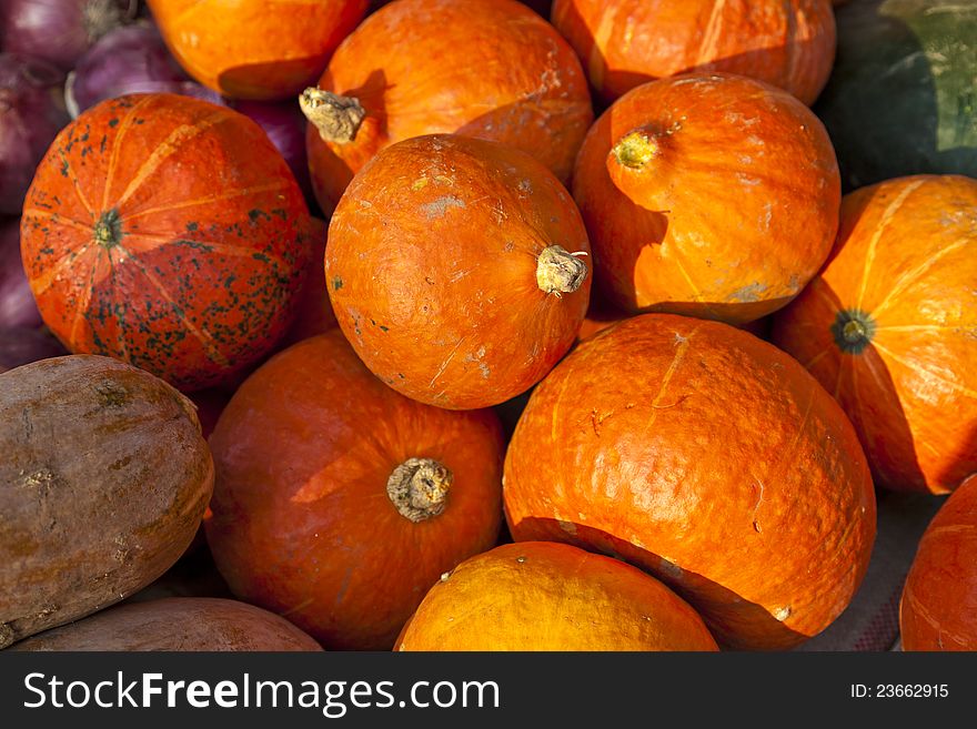 Homegrown pumpkinss on sale in a morning market. Homegrown pumpkinss on sale in a morning market.