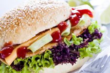 Burger Close Up Royalty Free Stock Photo Burger Close Up Royalty Free Stock Photo