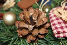 Pinecone With Guests Stock Image