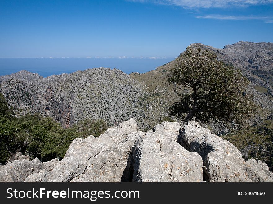 Sierra De Tramontana Mountains In Mallorca