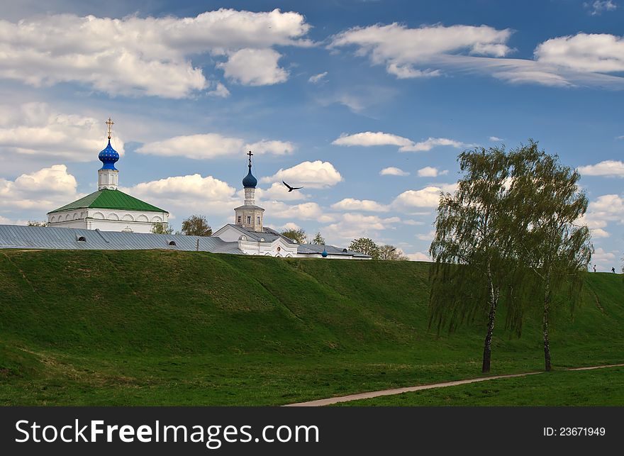 Russia. Ryazan kremlin sky clouds bird