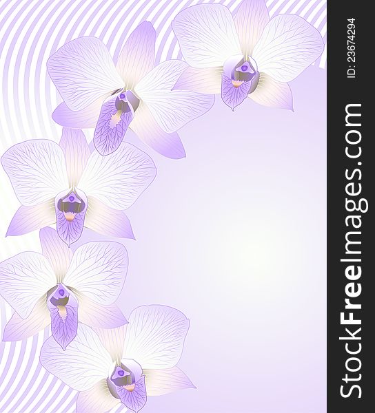 Vector illustration with orchid flowers for greeting card. Vector illustration with orchid flowers for greeting card.