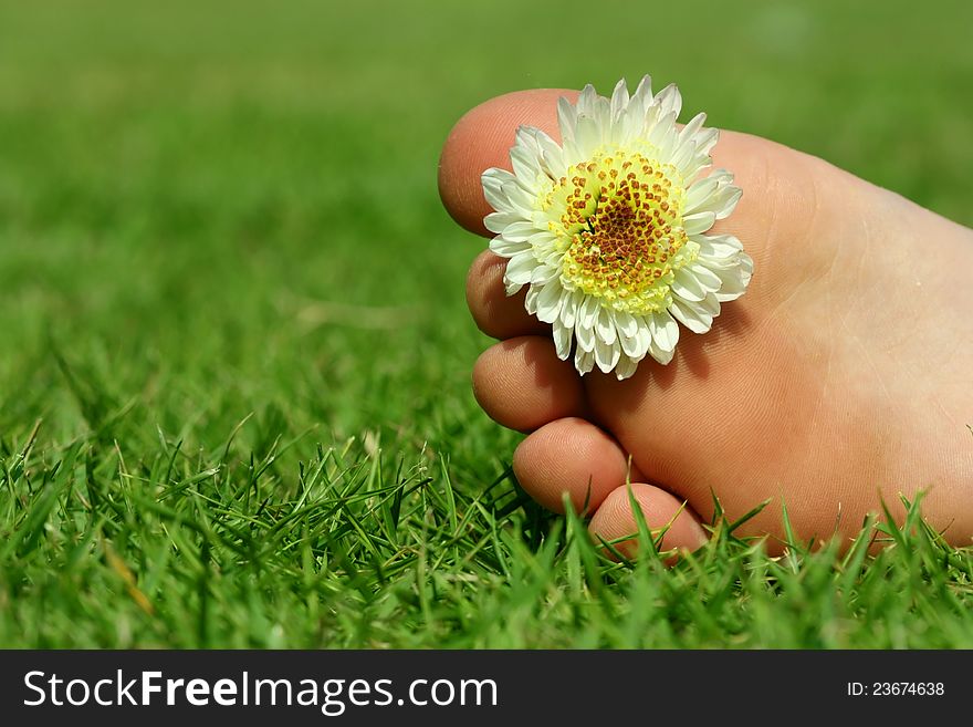 Children's legs lying on the grass, flower decoration. Children's legs lying on the grass, flower decoration