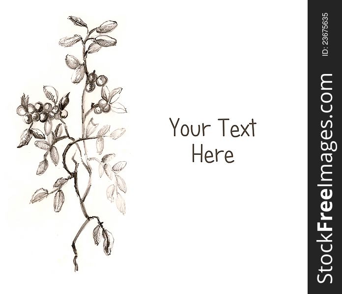 Plant Drawing with space for the text