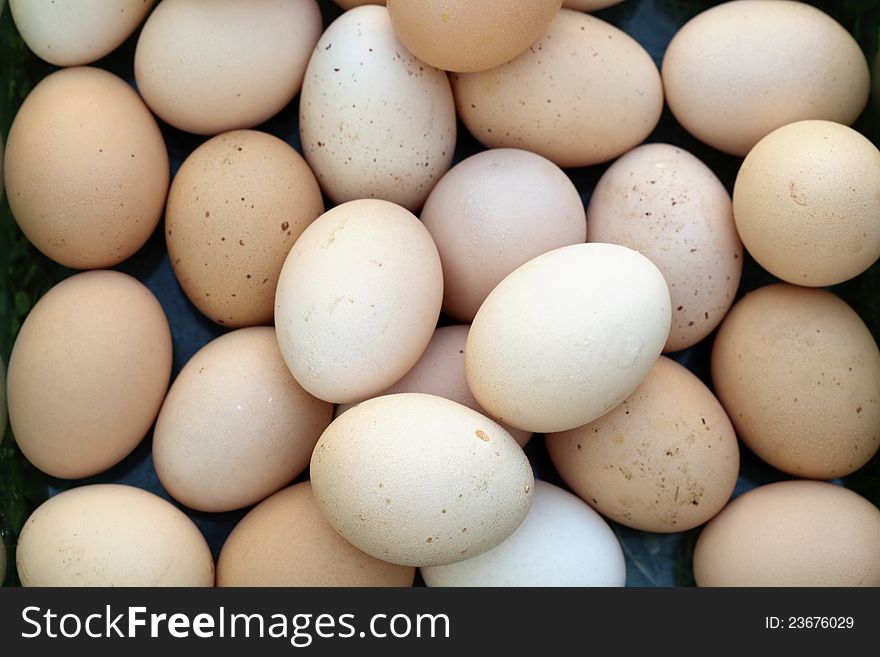 Group Of Fresh Eggs