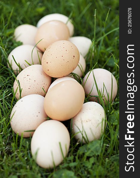 Group of fresh eggs on grass background. Group of fresh eggs on grass background