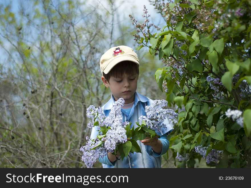 A child picking flowers