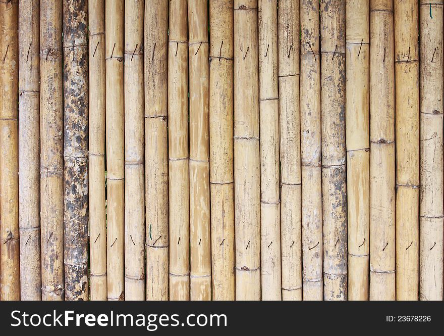 Texture Bamboo Background