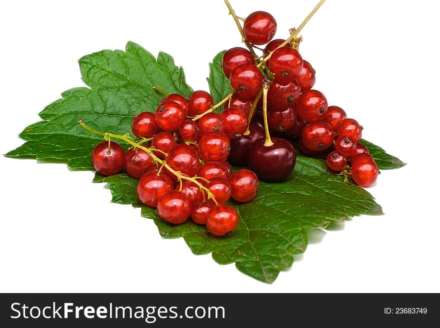 Currant And Cherry