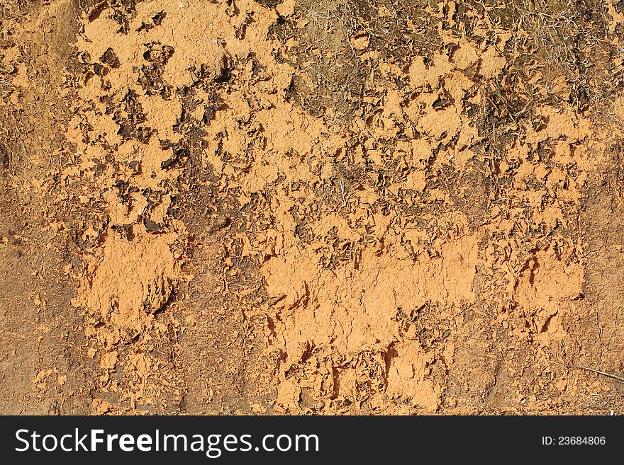 Full frame of grunge clay cliff wall with dried grass. Full frame of grunge clay cliff wall with dried grass.