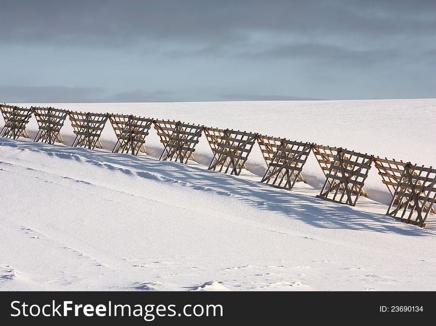 In the field there is a fence for snow detention.Around sparkling snow. In the field there is a fence for snow detention.Around sparkling snow.