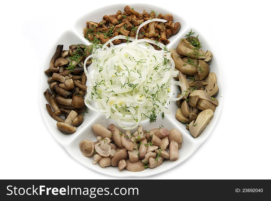 Several species of mushrooms on a white plate