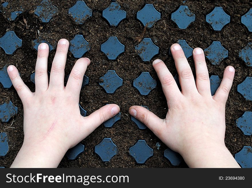 Kid hands over a sown seedbed with soil
