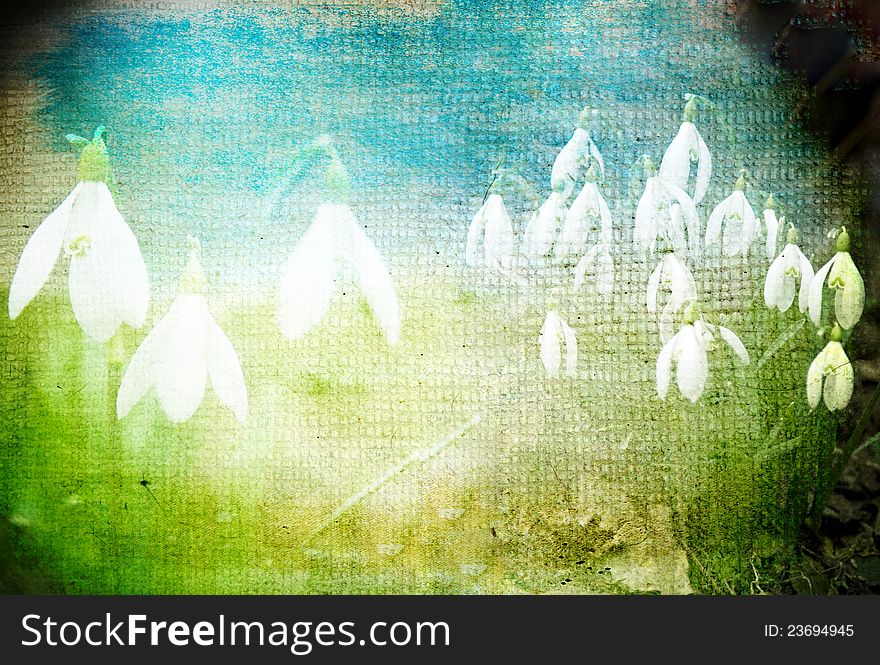 Grunge retro background with snowdrops and copy space