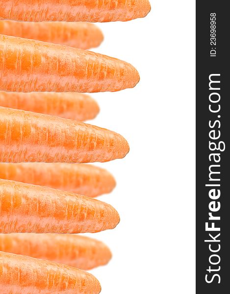 Many fresh carrots on a white background with copy space - vertical orientation. Many fresh carrots on a white background with copy space - vertical orientation