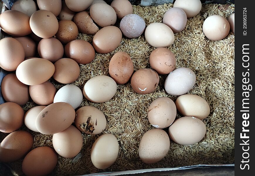 Eggs Collected In The Box