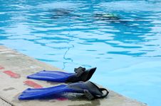 Swim Fins Stock Photo Swim Fins Stock Photo