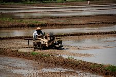 Plough Machine And Paddy Field Royalty Free Stock Photo