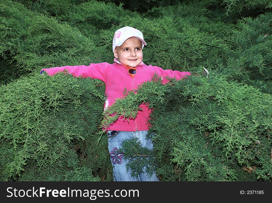 Little girl in green bushes. Little girl in green bushes