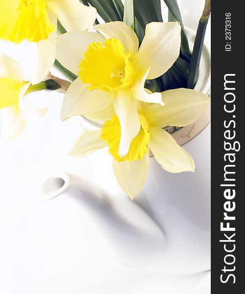 Closeup on tea pot with daffodils early in the morning in bright light on white. Closeup on tea pot with daffodils early in the morning in bright light on white