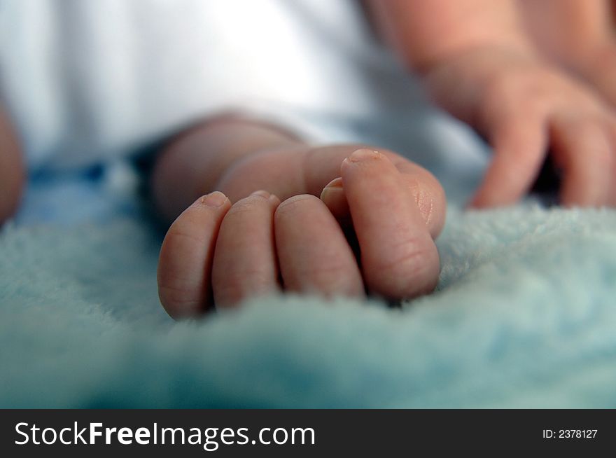 A closed hand of a new born baby. A closed hand of a new born baby