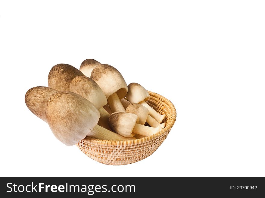 Mushroom in a basket, isolated on white