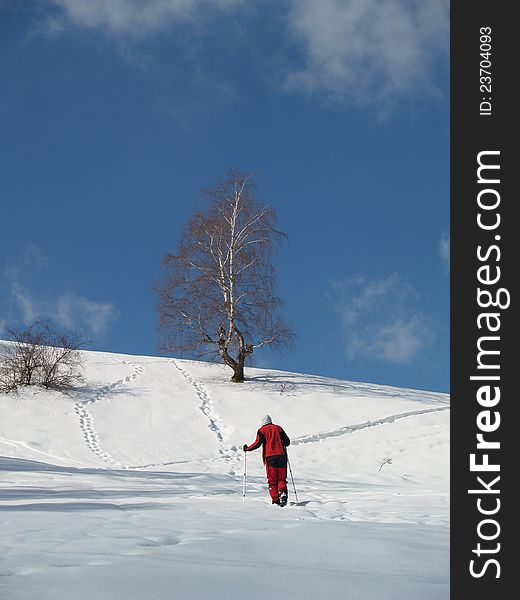 Young climber in Carpathian Mountains in winter. Young climber in Carpathian Mountains in winter