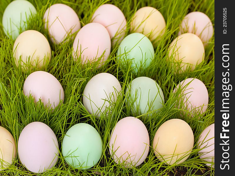 Colorful Eggs In The Grass