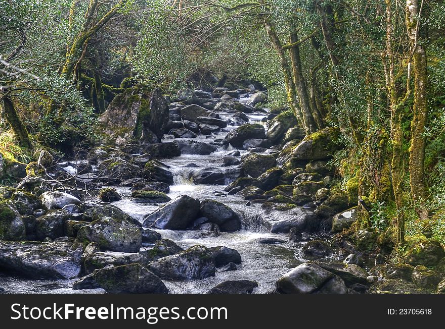 A stream near Torc waterfall,Killarney,county kerry,Ireland. A stream near Torc waterfall,Killarney,county kerry,Ireland