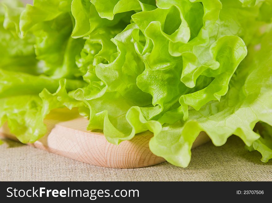 Lettuce on the wooden board. Lettuce on the wooden board